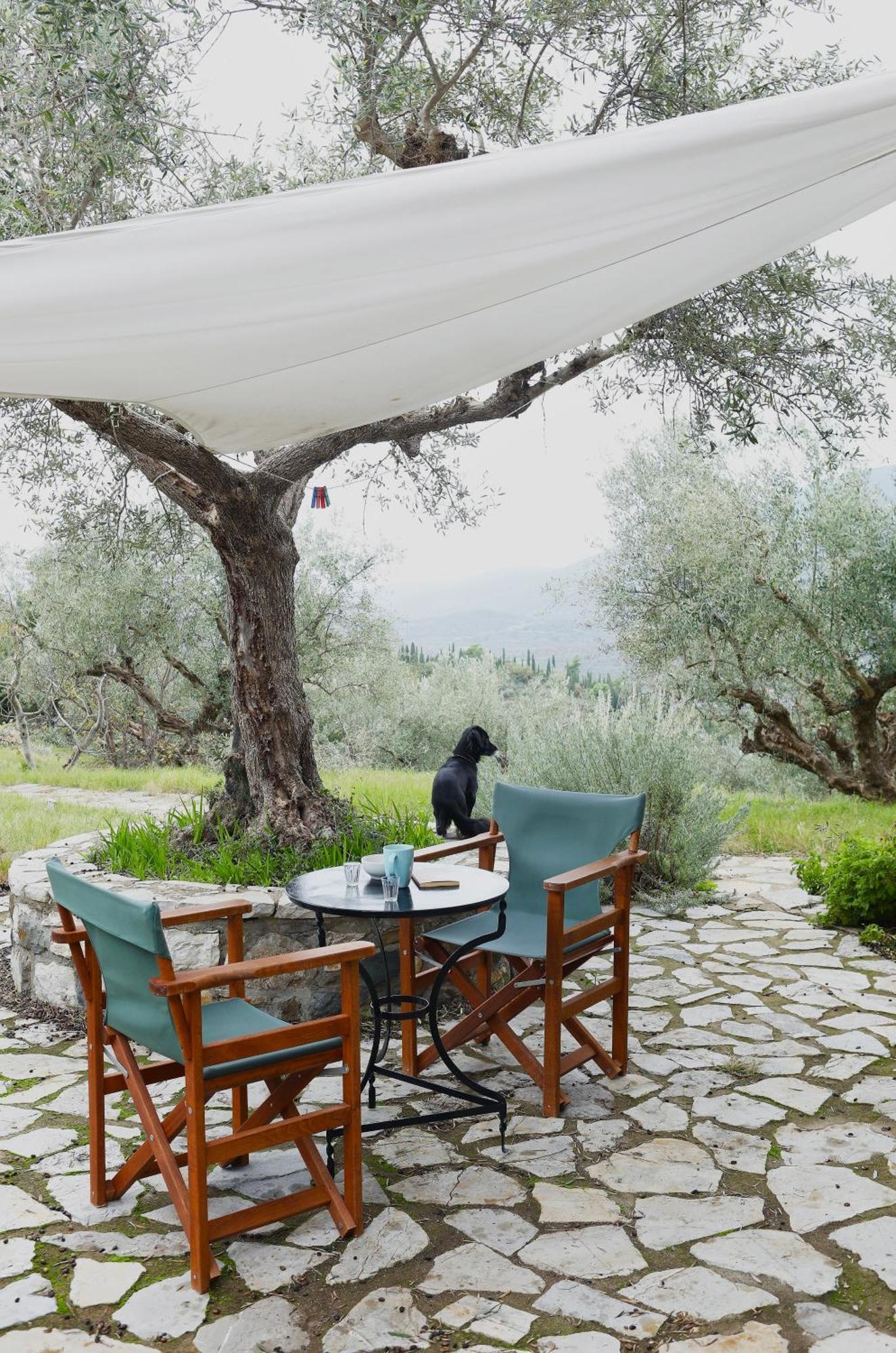 Rizes Villa Psárion Dış mekan fotoğraf
